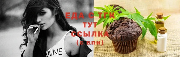 молекула духа Вяземский