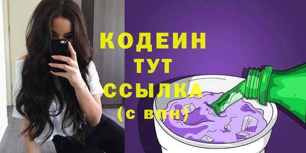 молекула духа Вяземский