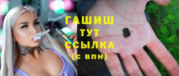 молекула духа Вяземский
