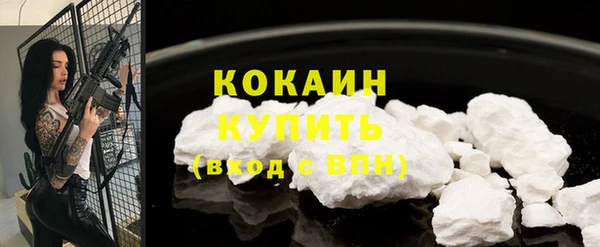 молекула духа Вяземский