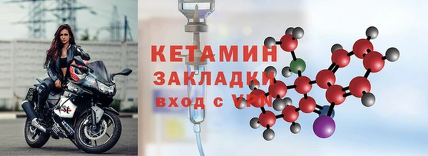 молекула духа Вяземский