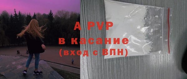 молекула духа Вяземский
