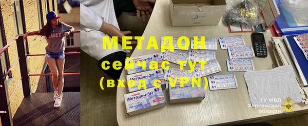 молекула духа Вяземский