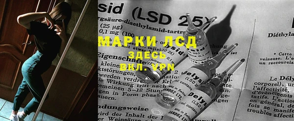 молекула духа Вяземский