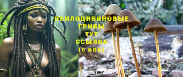 mdpv Вязники