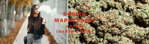 молекула духа Вяземский