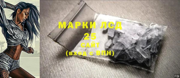 молекула духа Вяземский