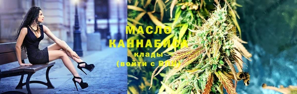 молекула духа Вяземский