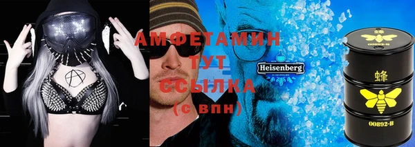 молекула духа Вяземский