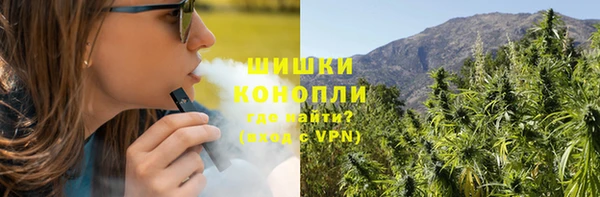 молекула духа Вяземский