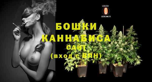 молекула духа Вяземский
