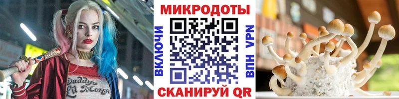 магазин  наркотиков  Железногорск  Галлюциногенные грибы мицелий 