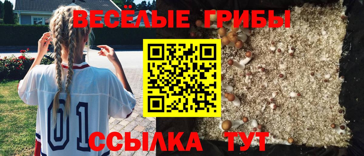 Галлюциногенные грибы мицелий  Вход с VPN  Железногорск  Галлюциногенные грибы Psilocybine cubensis 